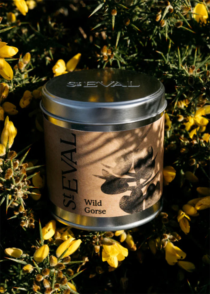 Wild Gorse Scented Tinned Candle